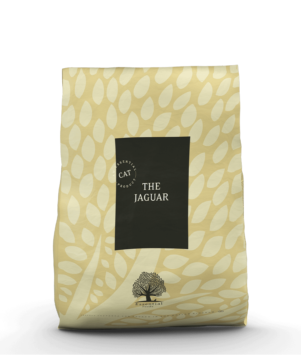 Essential 易膳 捷豹 新鮮三文魚和鱒魚無穀物全貓天然糧 12kg
