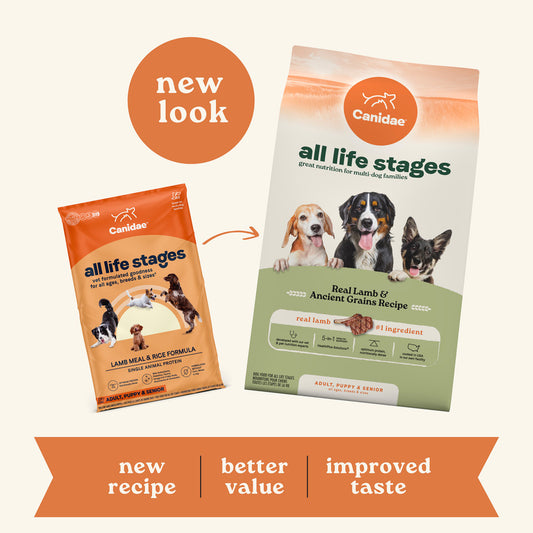 Canidae 羊肉糙米配方 全犬