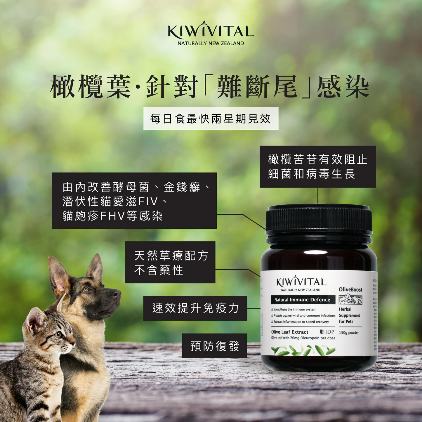 Kiwivital OliveBoost 紐西蘭橄欖葉草療配方 80g / 150g