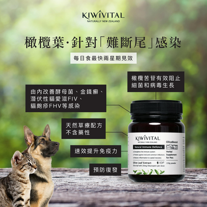 Kiwivital OliveBoost 紐西蘭橄欖葉草療配方 80g / 150g