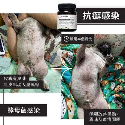 Kiwivital OliveBoost 紐西蘭橄欖葉草療配方 80g / 150g